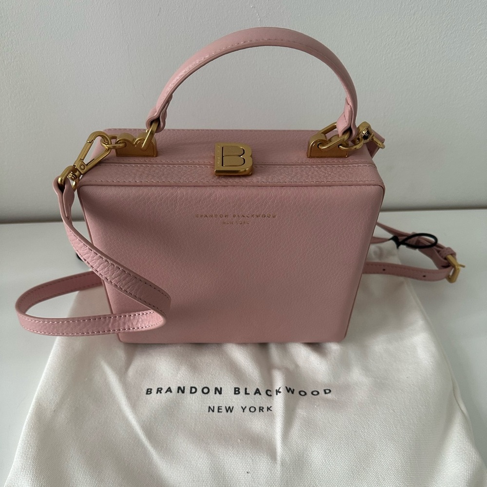 Brandon Blackwood Kendrick Trunk in Soft Pink with Brass Hardware